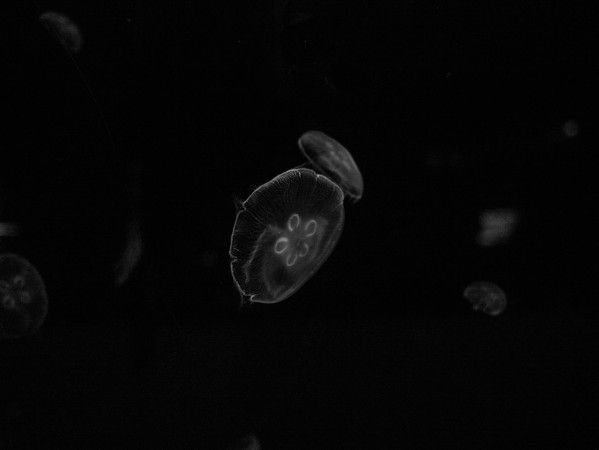 银河系第一关怎么过，一个普通人的星际入门指南