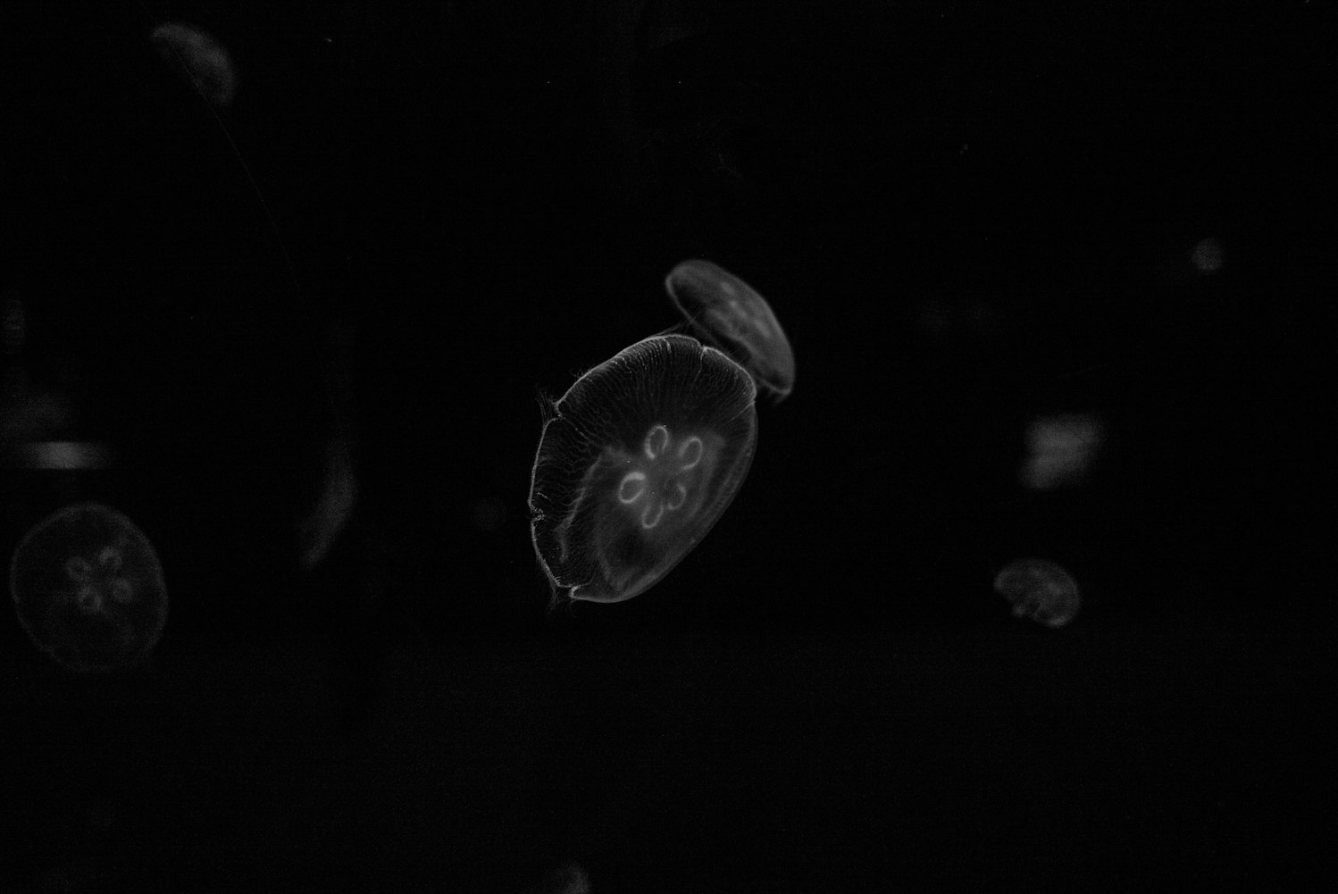 银河系第一关怎么过，一个普通人的星际入门指南