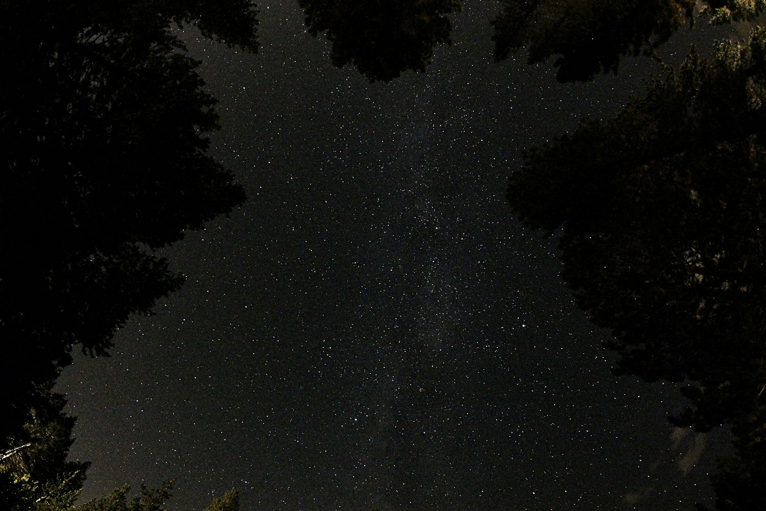抬头看星星时,我总容易把这两颗给认反 抬头看星星时,我总容易把这两颗给认反