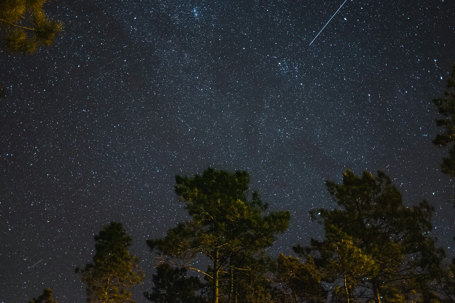 抬头看星星时,我总容易把这两颗给认反 抬头看星星时,我总容易把这两颗给认反