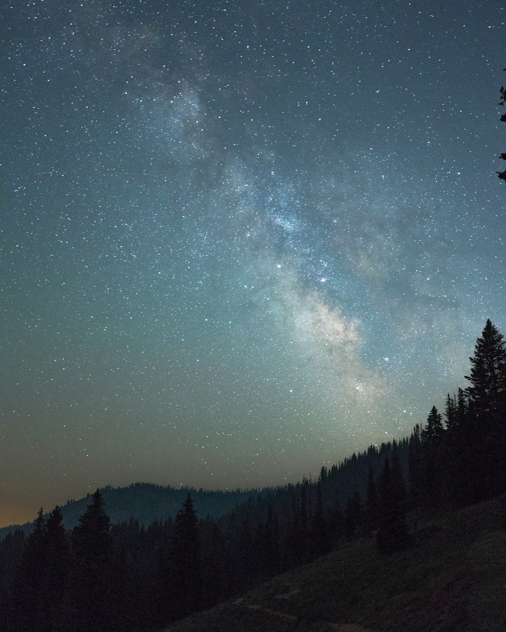 银河系里一个家族，到底住了多少星口？