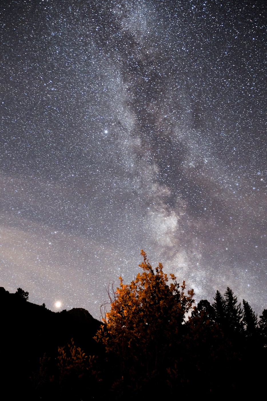 银河系里的小人物是谁?你、我、超新星和家门口那条狗的答案 银河系里的小人物是谁?你、我、超新星和家门口那条狗的答案